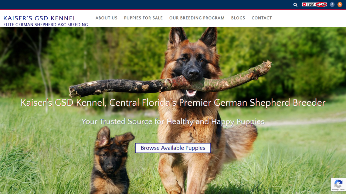 Kaiser's GSD Kennel, Central, FL